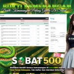 BUKTI JACKPOT SLOT WILD BOUNTY SHOWDOWN TERPERCAYA DI INDONESIA TGL 18-02-2025